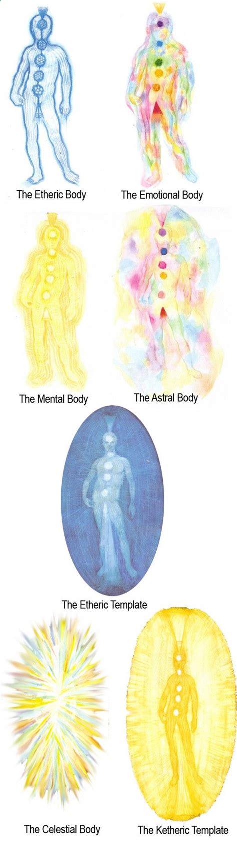 <b>Brennan</b> Healing Science - Human Energy Field illustrating the standard 7-chakra system (other systems note additional energy centers. . Barbara brennan chakras
